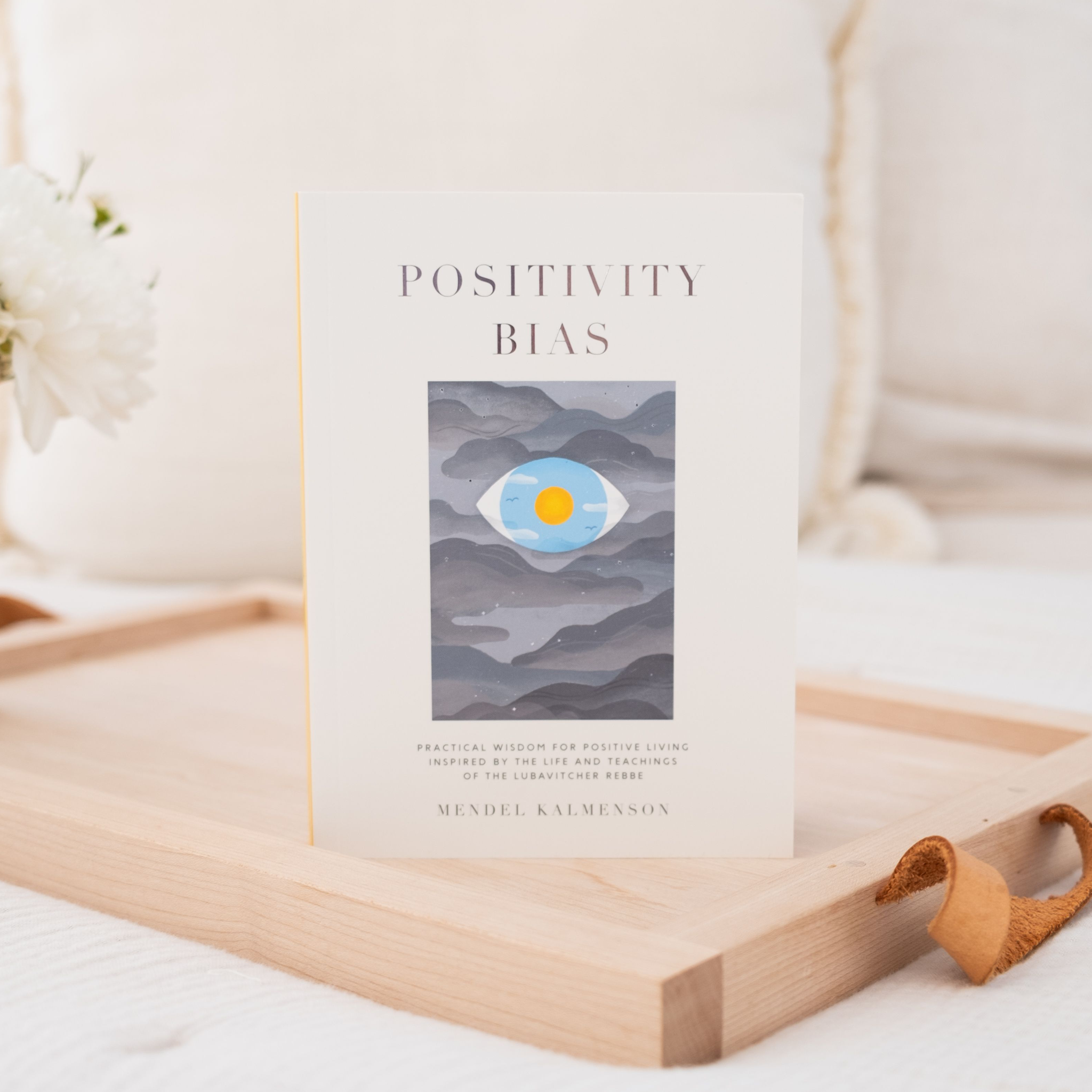 Positivity Bias Book