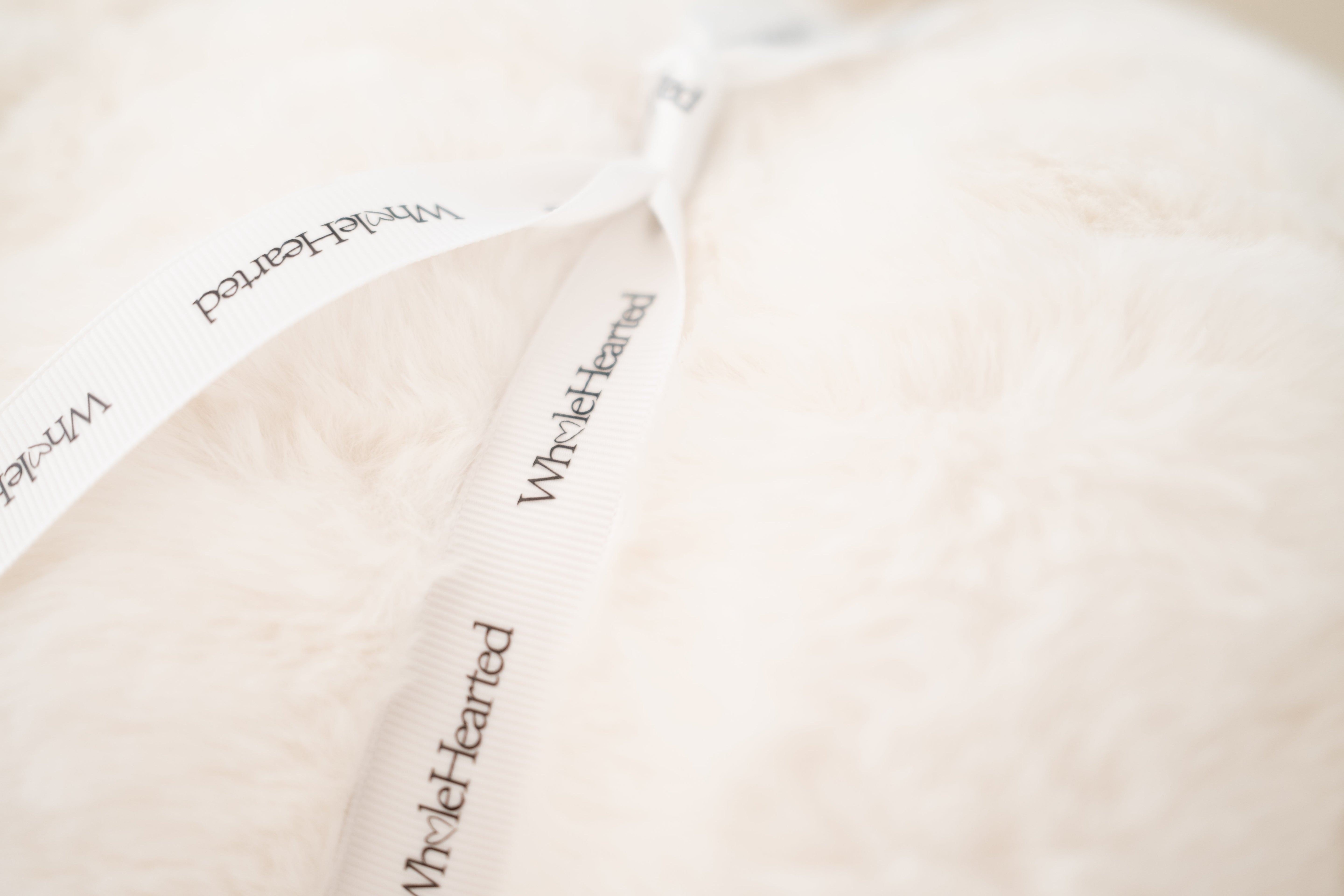 Sleep little one. Sleep.